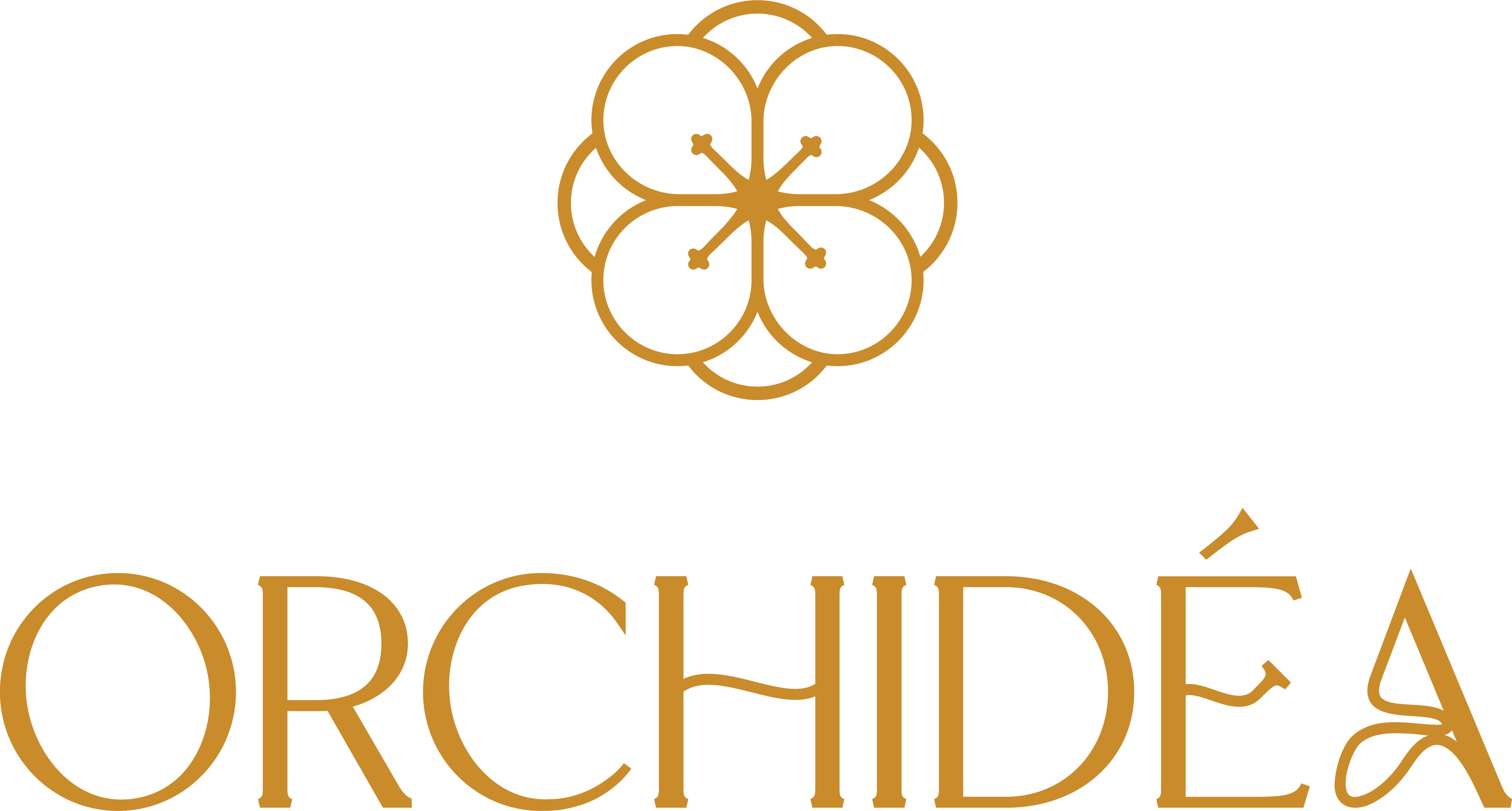 Orchidea